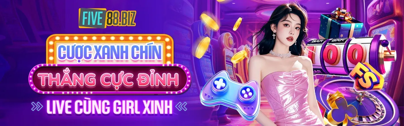 Hình ảnh minh họa Tuân thủ GDPR của 55mom win